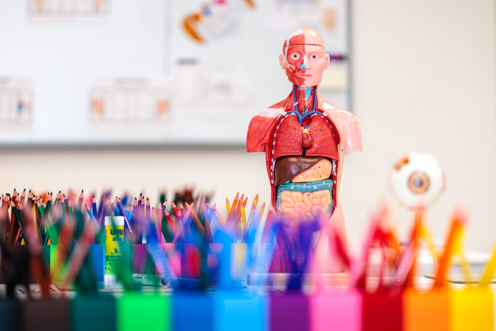 Projects Coming Soon