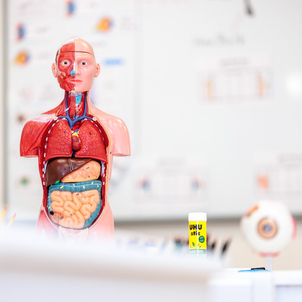 gt-web-bios-_VMC3908