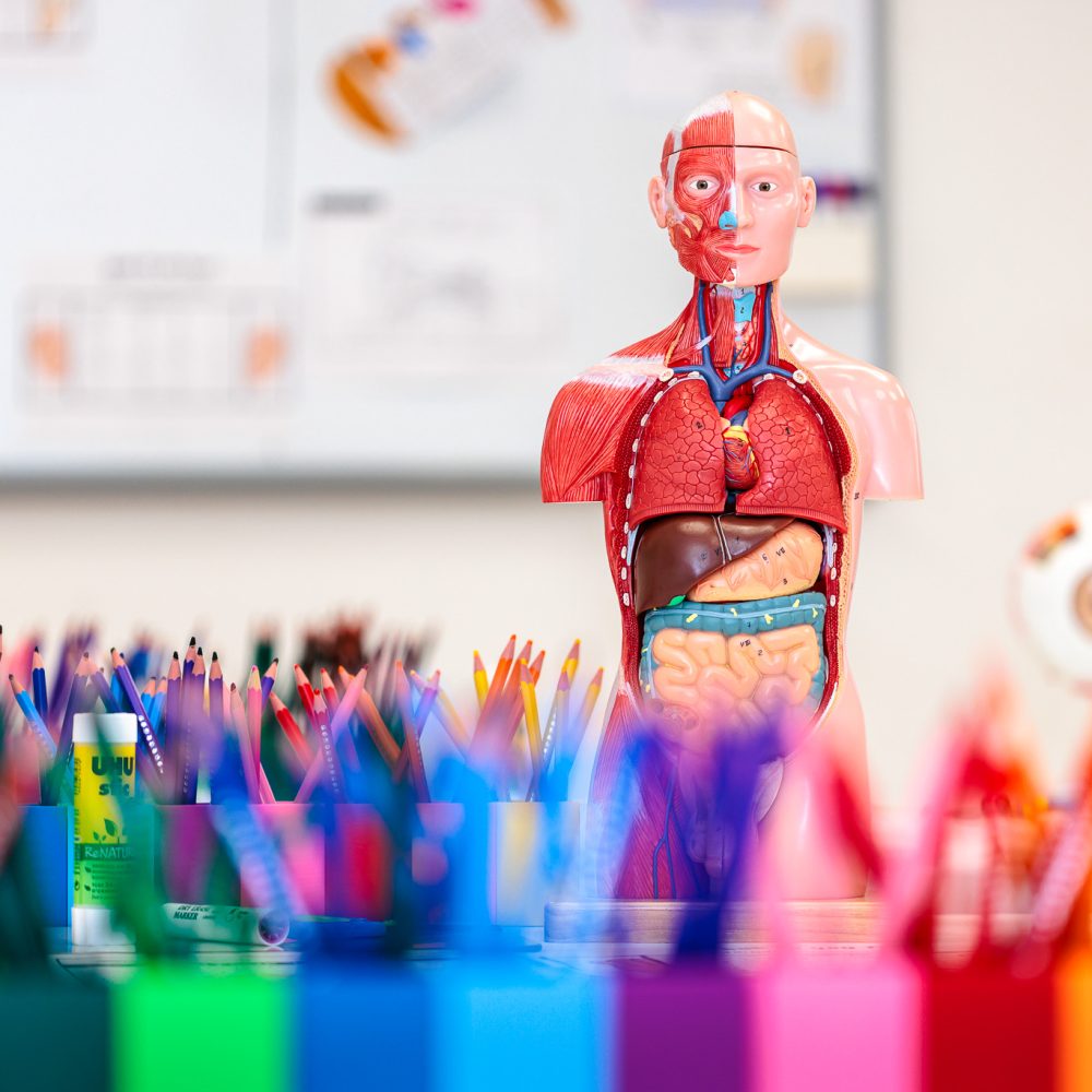 gt-web-bios-_VMC3917